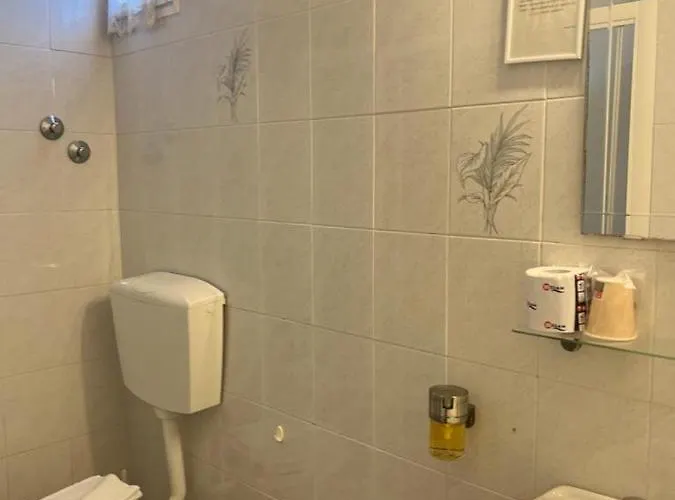 Nice Hotel Viareggio